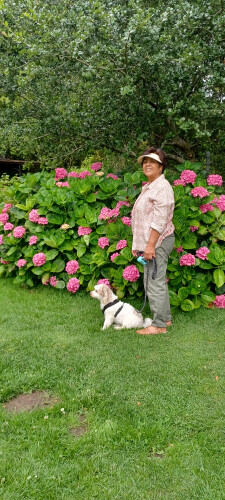 Anabella Bird Profile