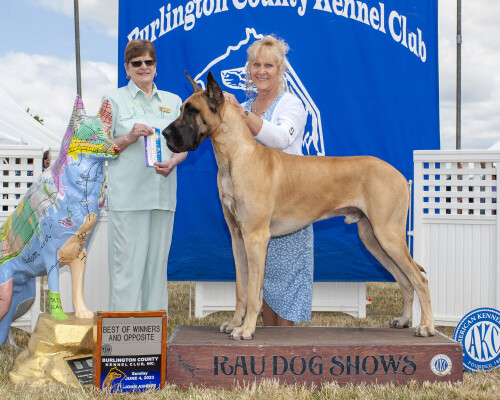 Lynne Zellner Profile