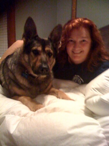 Elisabeth O’Loughlin Profile