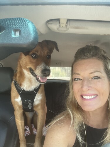 Dolena Tymchuk Profile