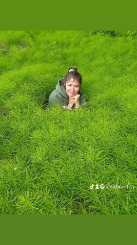 Janis Brantley Profile