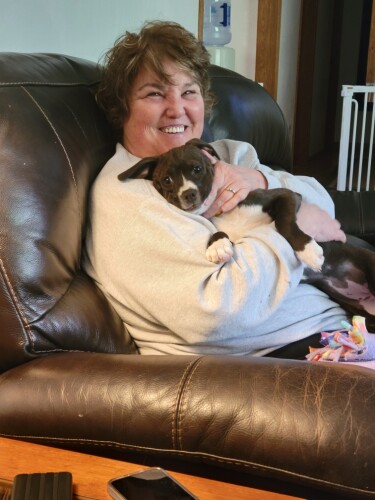 Vanessa Boczar Profile