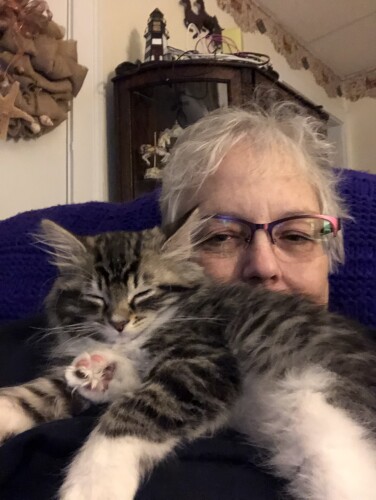 Karen Davidson Profile