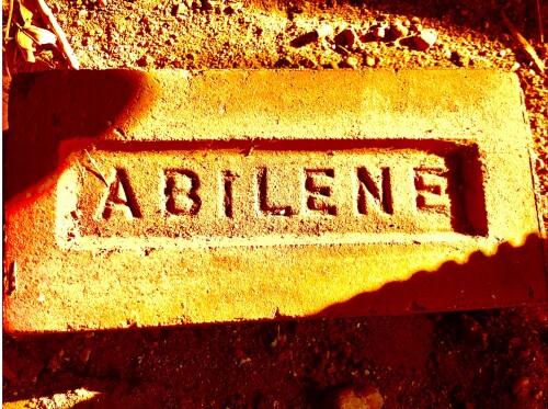 Traci Greene Profile