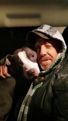 robert ciarrochi Profile