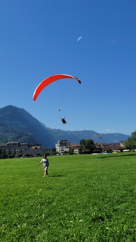 Maria Mercedes Thompson Profile