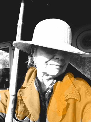 Patricia Hayden Profile