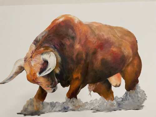 Berenice Bohorquez Profile